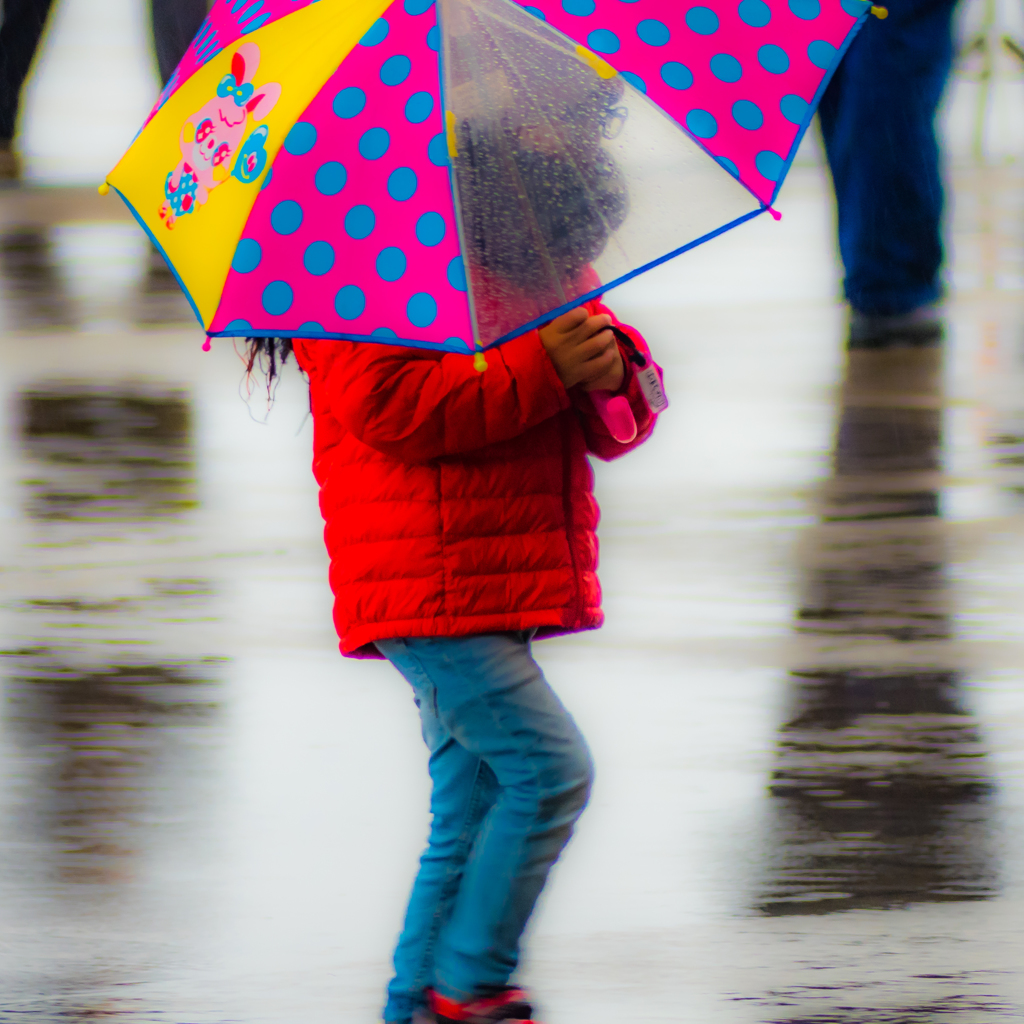 雨