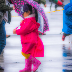 雨