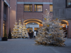 街の中庭に輝く白いツリー