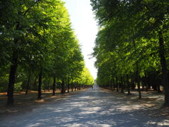 デュッセルドルフの公園