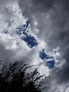 見張られている・・