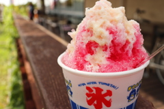 夏の楽しみ