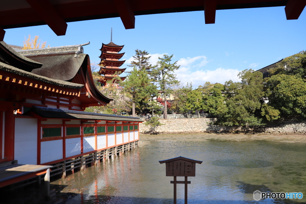 宮島