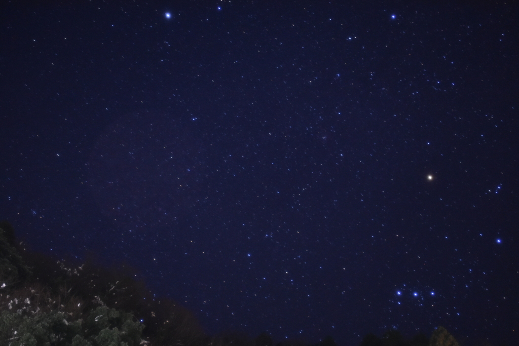 城崎 星空