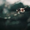 暮れなずむ