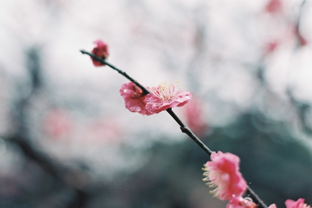 清潤
