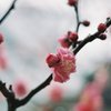 負荷