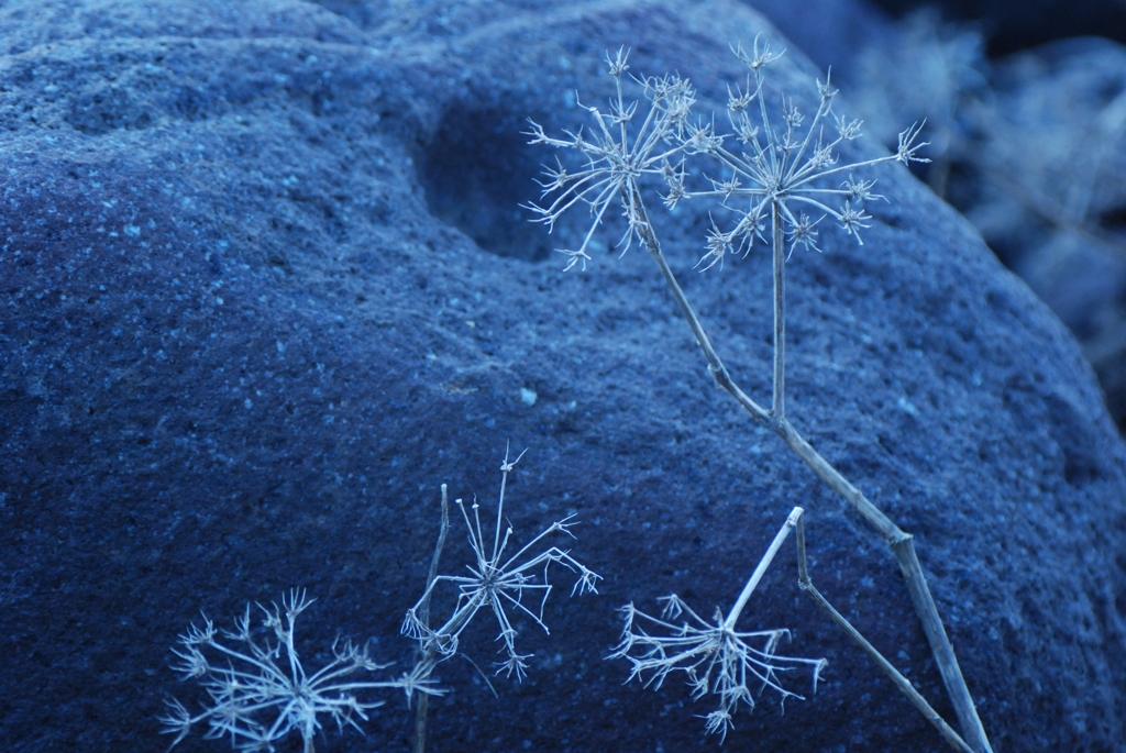 消えない線香花火
