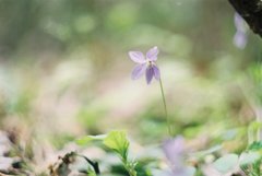 一人の気がしない