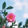 時には空を