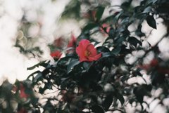 奔流