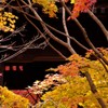 平林寺の紅葉2017
