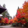 平林寺の紅葉2017