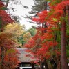 平林寺紅葉2017