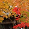 平林寺紅葉2017
