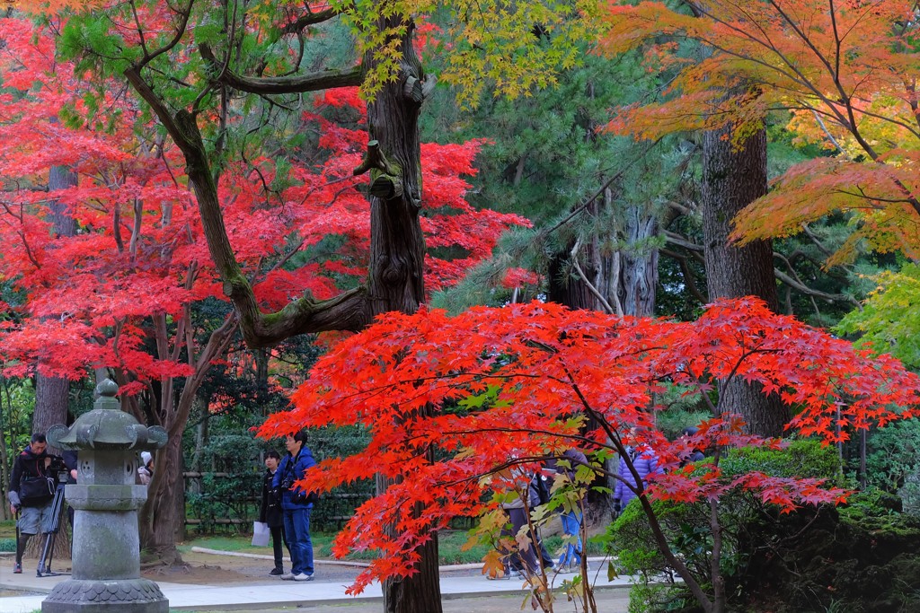 平林寺の紅葉17 By Happy9 Id 写真共有サイト Photohito