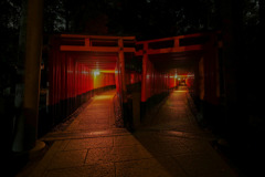 伏見稲荷　夜3