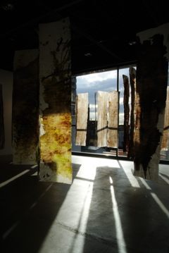 TOTO Gallery