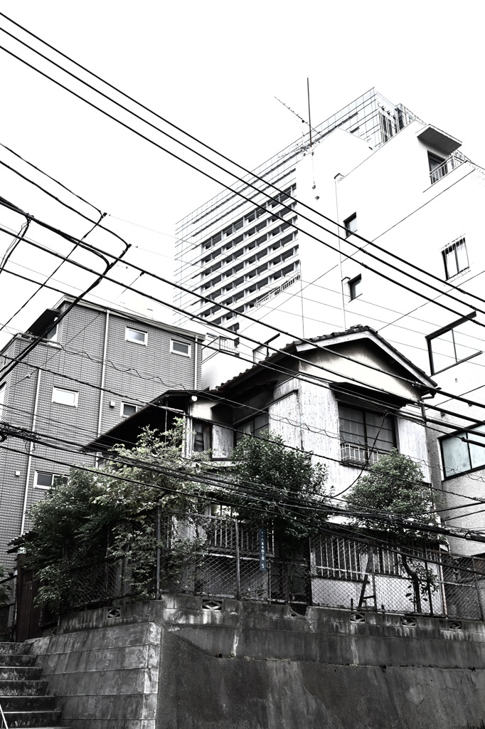 六本木の佇まい