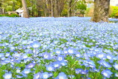 Hibiya Park