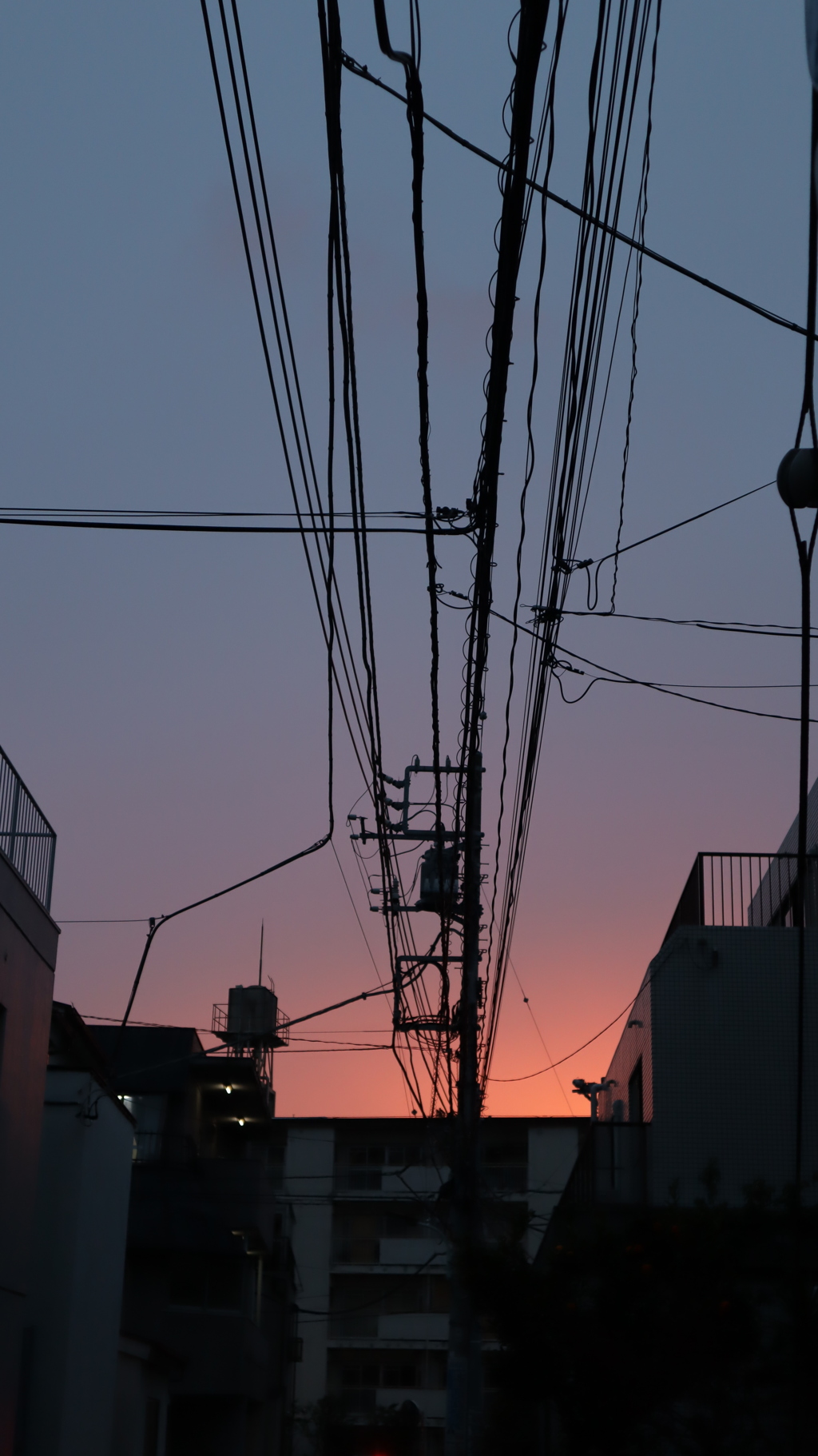 道しるべ