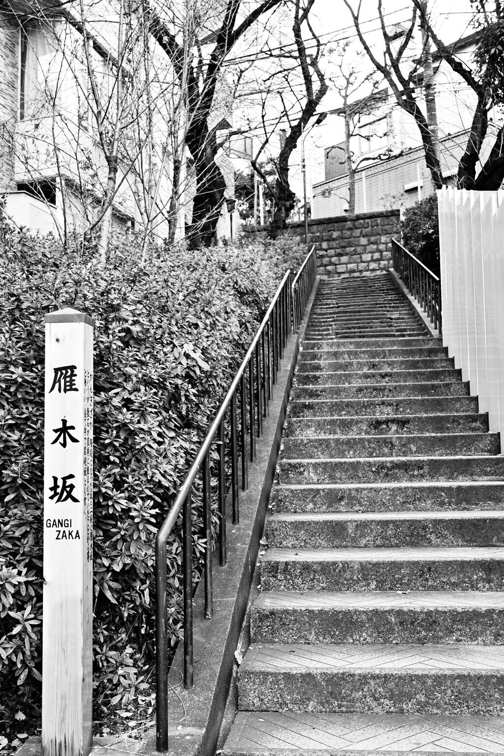 雁木坂
