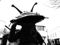 身長：2m　体重：200kg　出身地：東京近郊