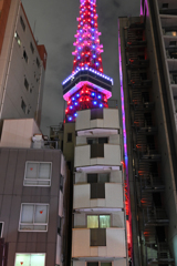 隙間から