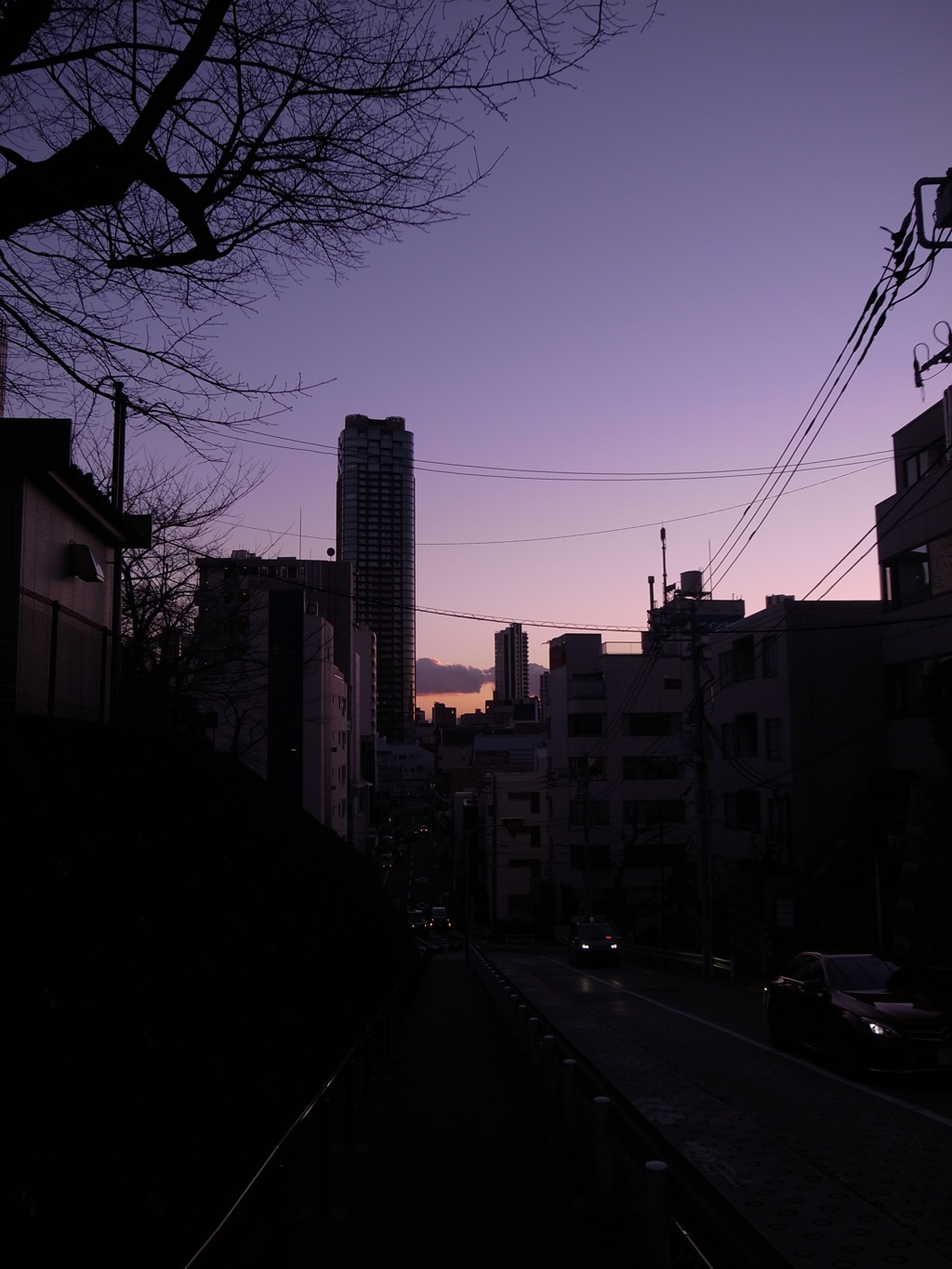 22世紀まで長生き