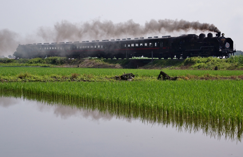 真岡鉄道のSLプッシュプル運転①