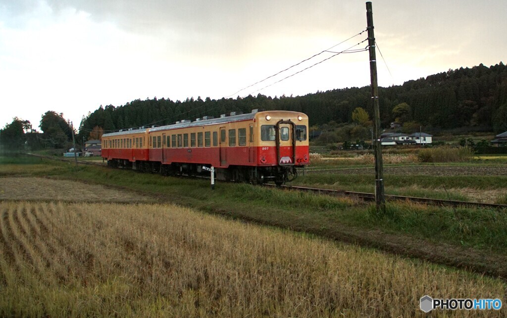田園風景を往くキハ200！