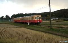 田園風景を往くキハ200！