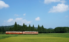 のどかな田園風景！