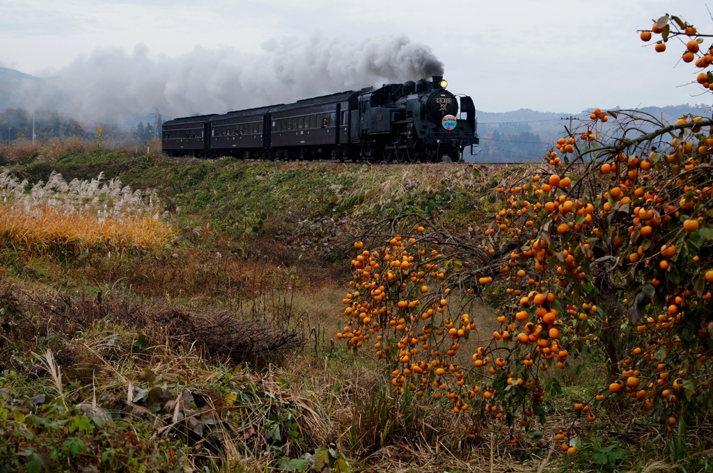 七折峠に向かう！