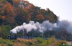 上越線　SL「みなかみ」号！