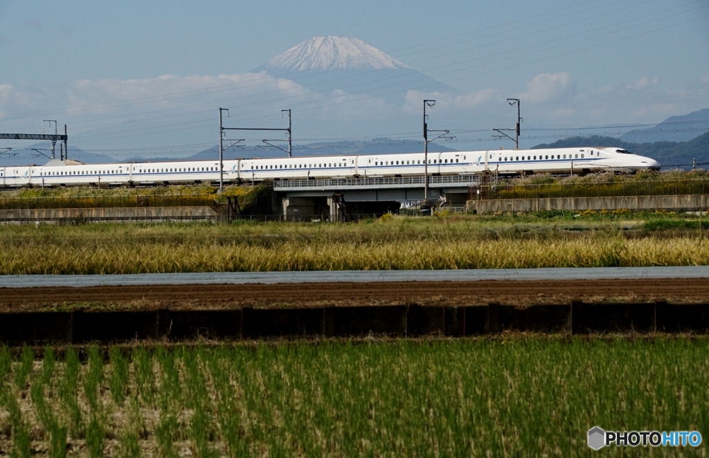 新幹線と富士山！