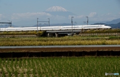 新幹線と富士山！