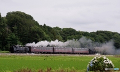 真岡鉄道　特殊運転①～⑫の中の⑥！