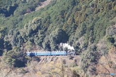 大井川鉄道　始めて見る12系客車！partⅠ