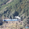 大井川鉄道　始めて見る12系客車！partⅠ