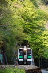 只見線　新緑の中を！