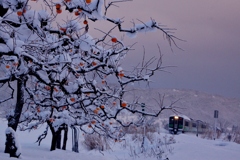 雪景色とキハ120！