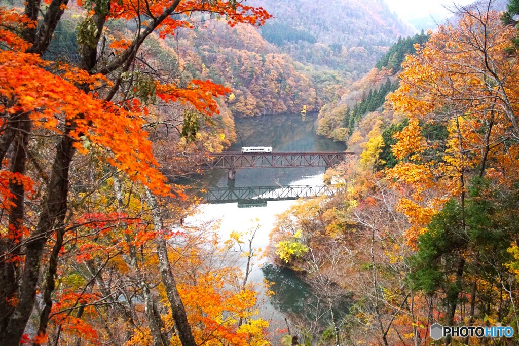 只見線　第３橋梁紅葉！