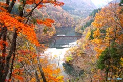 只見線　第３橋梁紅葉！