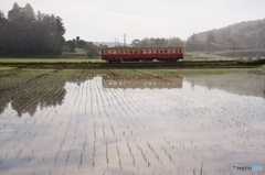 田んぼの区間をローカル列車が走る！