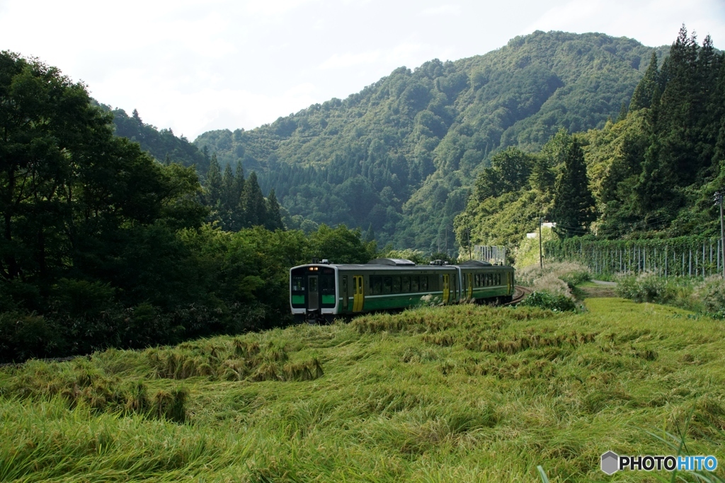 只見線上り列車　大白川駅に進入！