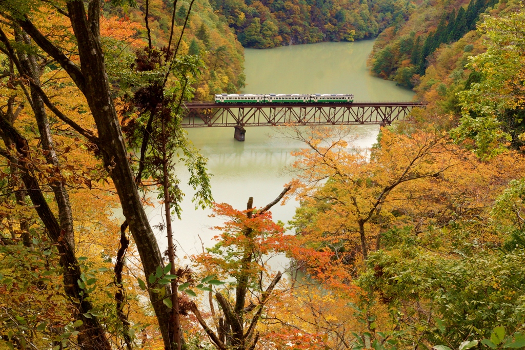 紅葉に囲まれて！