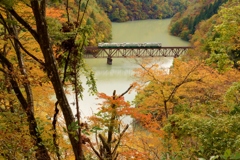 紅葉に囲まれて！