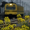 秩父鉄道の黄色の101系電車！