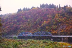 紅葉の只見線第８橋梁！
